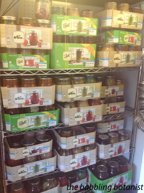 canning closet