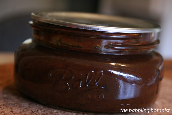 Asian Plum Sauce - the babbling botanist
