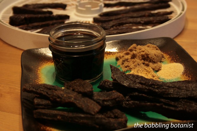 Teriyaki Beef Jerky - the babbling botanist